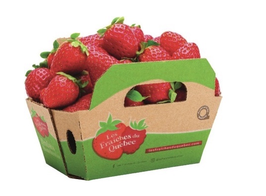 Fraises 
