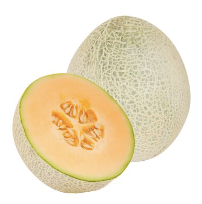 Cantaloup